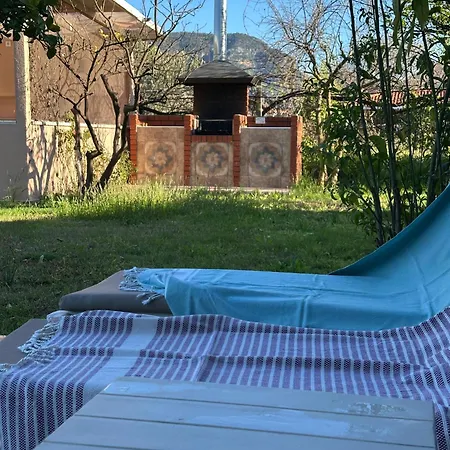 Alcedo - Atthis Villa