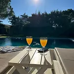 Alcedo - Atthis Muğla