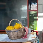 Alcedo - Atthis Muğla