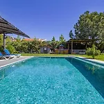 Alcedo - Atthis * Muğla