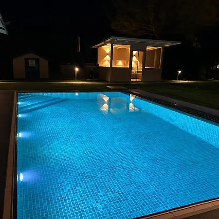 Alcedo - Atthis Mugla