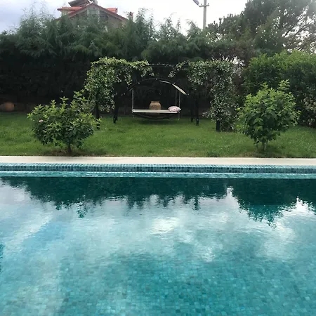 Alcedo - Atthis Mugla