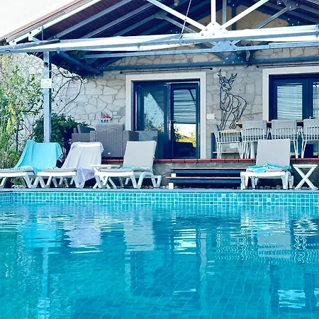 Villa Alcedo - Atthis