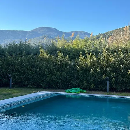 Alcedo - Atthis * Mugla
