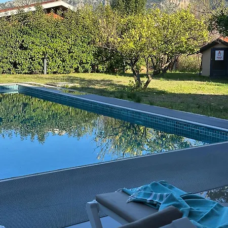 Alcedo - Atthis Mugla