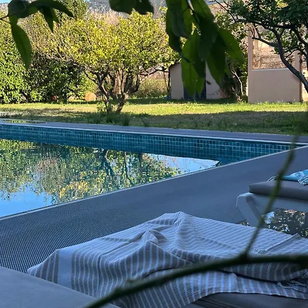Alcedo - Atthis Villa