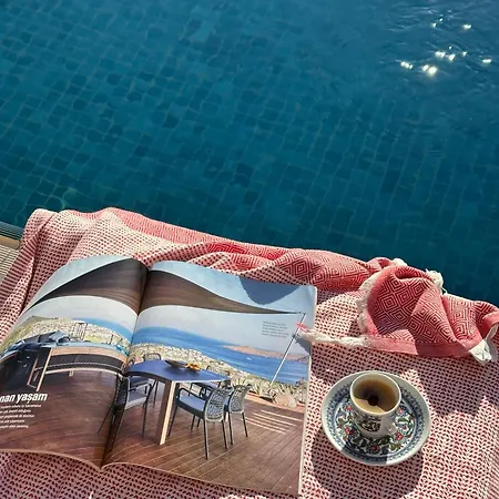 Alcedo - Atthis * Mugla
