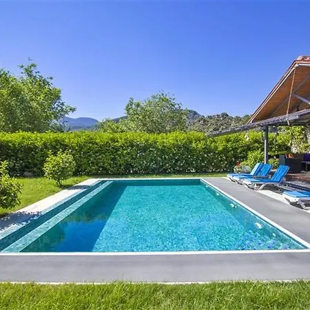 Alcedo - Atthis * Mugla