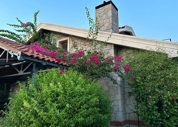Alcedo - Atthis *