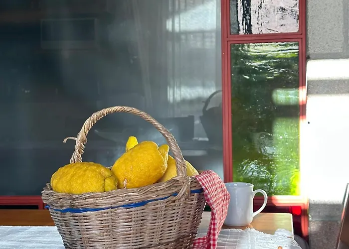 Alcedo - Atthis 무글라