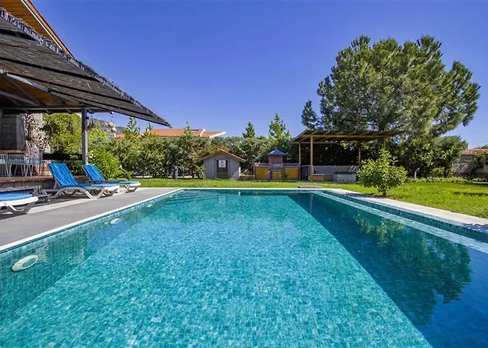 Alcedo - Atthis * 무글라